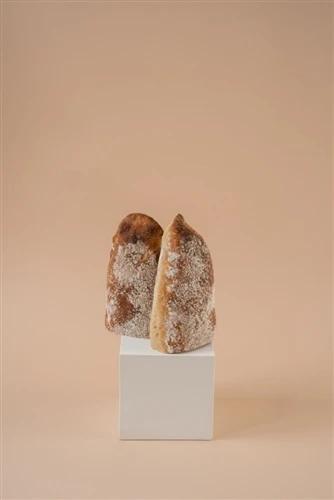 Frozen Dough Collapse and Low Volume After Thawing? ACETEM's Cryoprotection Mechanism Explained T...